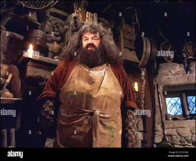 Avec qui Hagrid a-t-il essayé d'être en couple dans "Harry Potter et la Coupe de Feu" ?