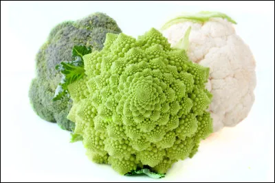 Cependant, les agriculteurs ont peur que leur mobilisation fasse ...