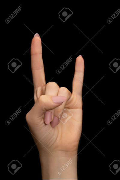 Qui est la rappeuse principale du groupe Blackpink ? (Piège).