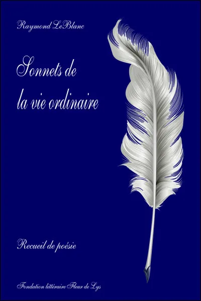 Qu'est-ce qu'un rejet (en poésie) ?