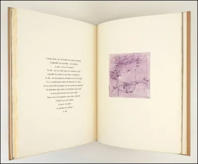 Comment appelle-t-on une strophe de trois vers ?