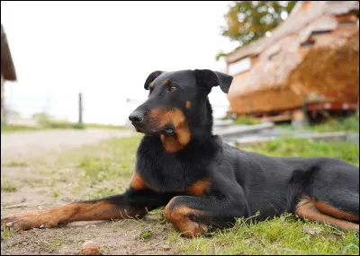 Le budget annuel varie entre...