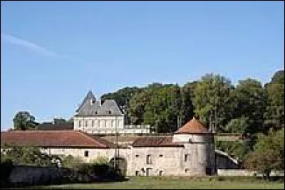 Je vous emmène dans le Saintois, au château de Neuviller-sur-Moselle. Village de l'aire d'attraction Nancéenne, il se situe dans le département ...