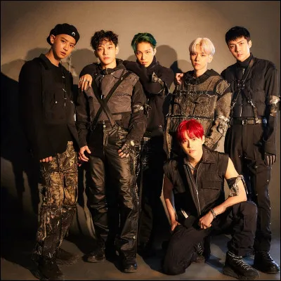 Lequel des chanteurs dans le groupe EXO est marié ?