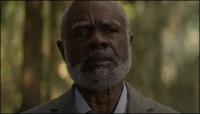 Voici un centaure. Dans quelle série Disney+ apparaît-il ?