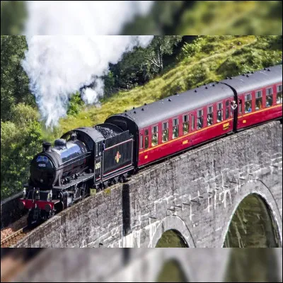 Qui Harry et Ronald ont-ils rencontré dans le Poudlard Express ?