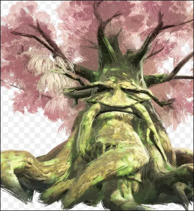 Quel élément préfères-tu ?