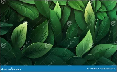 Français : "Les feuilles de ce rosier sont ...". Complète cette phrase.