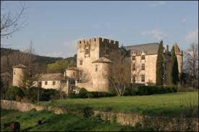 Je vous propose de commencer notre balade au château d'Allemagne-en-Provence. Village de l'aire d'attraction Manosquine, il se situe dans le département ...