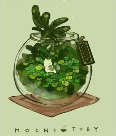 Où vit le diable de Tasmanie ?