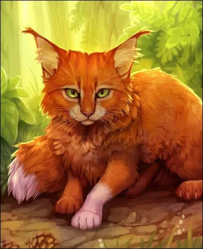 Quel chat poss&egrave;de une ou&iuml;e surpuissante ?