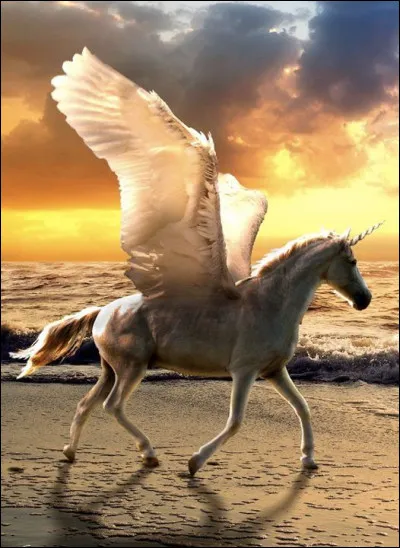 Quel est le nom de l'alicorne qu'a découvert Sophie ?