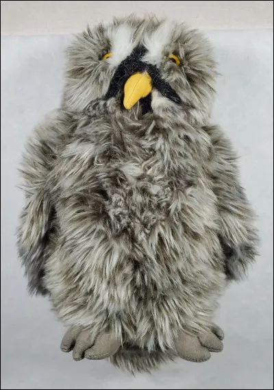 Quel est le nom du hibou de la famille Weasley ?