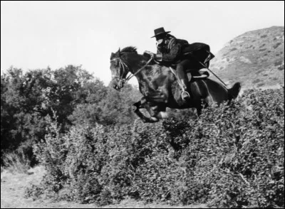 Lequel de ces films de 1955 a été réalisé par Jack Arnold ?