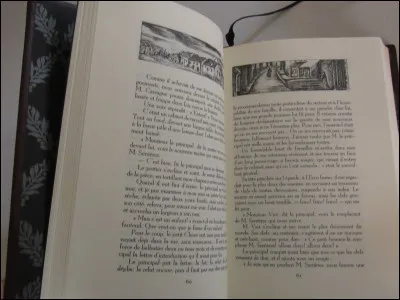 Léon Daudet est l'auteur du roman intitulé "Le Petit Chose".