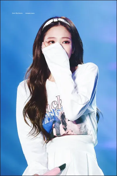 D'ailleurs, quel est le nom des haters des Blackpink (personnes qui ont des propos haineux, qui ressentent de la haine, envers Blackpink, en gros, qui les détestent) ?