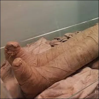 Qui a écrit la nouvelle fantastique intitulée "Le Pied de momie" ?