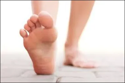 Quel chanteur a souvent les pieds nus sur scène ?