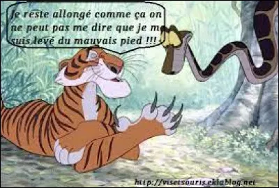 Complétez cette célèbre expression : "Se lever du pied...