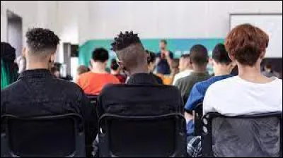 Quelle est lorigine sociale du mouvement punk ?