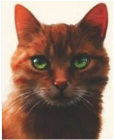 Dans la phrase "Etoile de Feu est concerné par plusieurs prophéties comme ils seront trois, parents de tes parents, à détenir le pouvoir des étoiles entre leurs pattes", que veut dire le mot "prophétie" ?