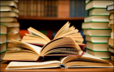 Dans la phrase "Je lis au moins un livre par jour", que veut dire le mot "livre" ?