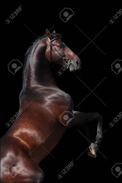 Quelle est cette robe ?