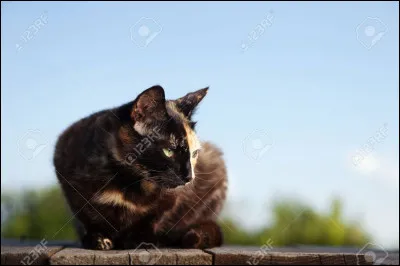 B : Belle de Jour : Qui est son fils ?