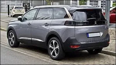 De quel modèle s'agit-il ?