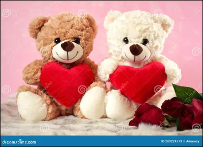 En fait, quel mec voudrais-tu ?