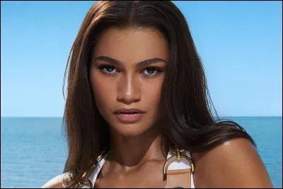 Avec quelle prestigieuse marque Zendaya a-t-elle collaboré en 2023 ?