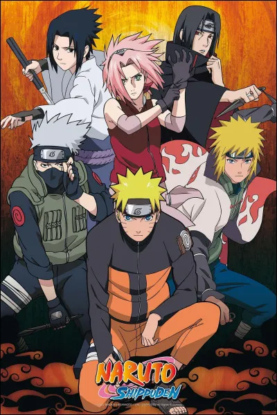 Combien y a-t-il d'épisodes dans "Naruto" ?