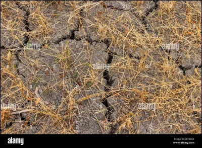 En 451, un peuple envahit la Gaule et met le siège autour d'Orléans, quel est-il ?