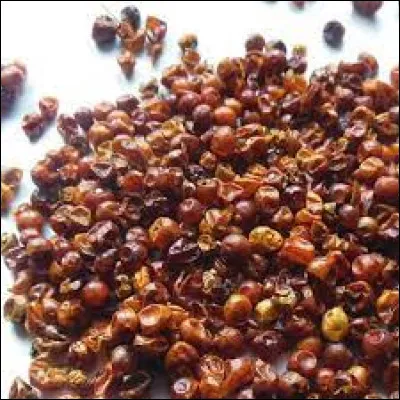 Pendant le siège, un évêque a rassemblé ruraux et citadins pour résister, du haut d'une tour, il surveillait l'arrivée d'Aetus. Quel est son nom ?