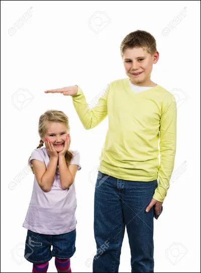 Quelle taille préférez-vous pour un cheval ?