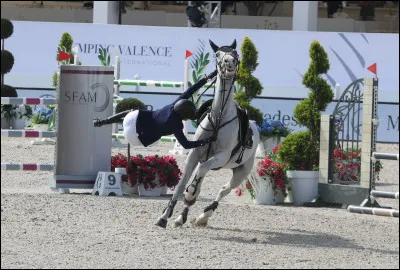 Vous aimez les chevaux...