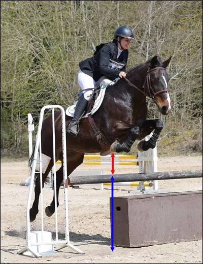 Vous devez choisir la taille des obstacles de votre compétition.
Laquelle choisissez-vous ?