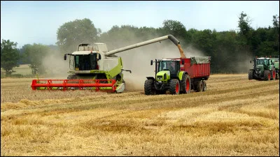 Au niveau mondial, quelle place occupe la France concernant la production du blé ?