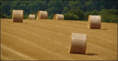 Quels outils utilise-t-on pour transformer la paille ou le foin au sol en balle ?