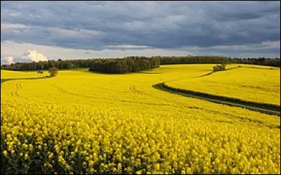 De quelle culture s'agit-il ?