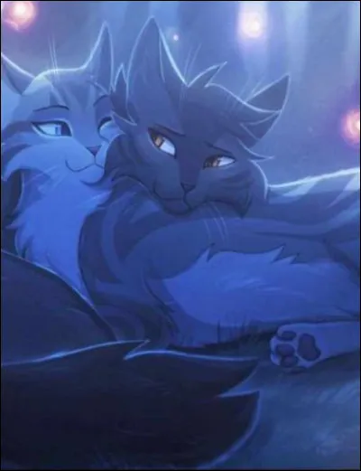 Tu préfères aimer :