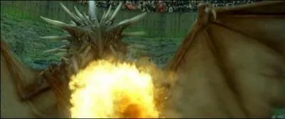 Quelle est cette crature ?