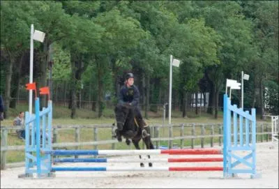 Quelle est cette discipline ?