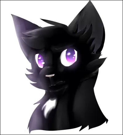 Quelle est la réincarnation de Museau Cendré ?