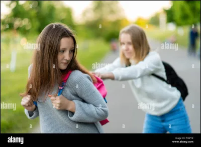 Imaginons : Tu es au collège et tu pousses un camarade sans faire exprès. Ce camarade se retourne et commence à t'insulter et te critiquer. Comment réagis-tu ?