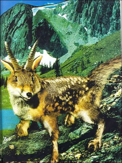 En fait, que veux-tu être ?