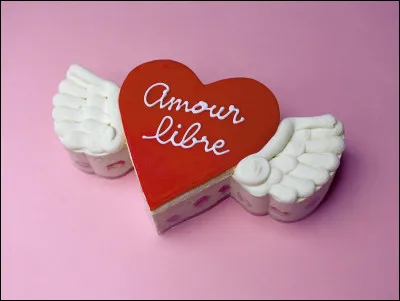 Les hippies vivant en communauté rejetaient le mariage traditionnel et l'institution de la famille. 
Quel était leur mot d'ordre en matière de sexualité ?