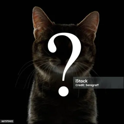 Question facile (pour gratter des points). Quelle est l’image montrant un chat ?