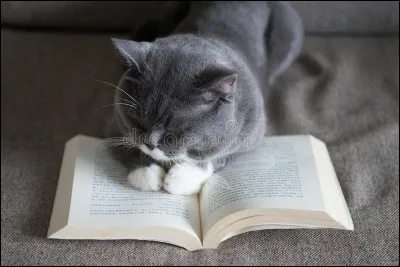 Comment sappelait le chat de Victor Hugo ?