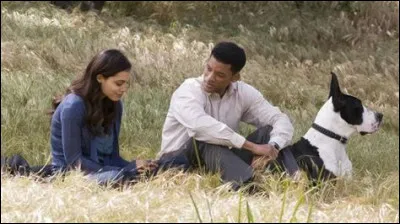 Dans le film de Gabriele Muccino sorti en 2008, quel est le nombre de vies ?